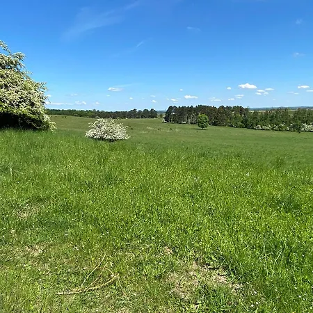 Lejlighed Messewohnung *